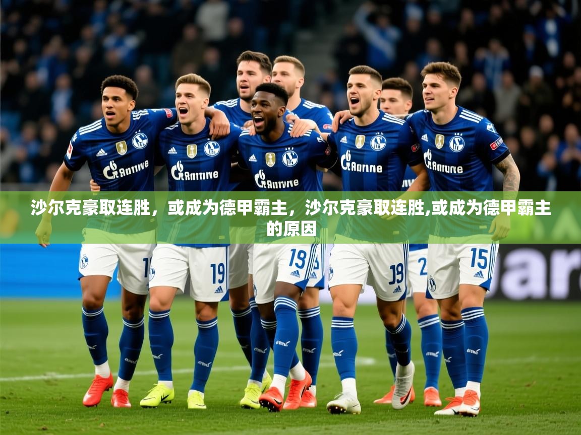 2025开云直播体育在线沙尔克豪取连胜，或成为德甲霸主，沙尔克豪取连胜,或成为德甲霸主的原因  第1张