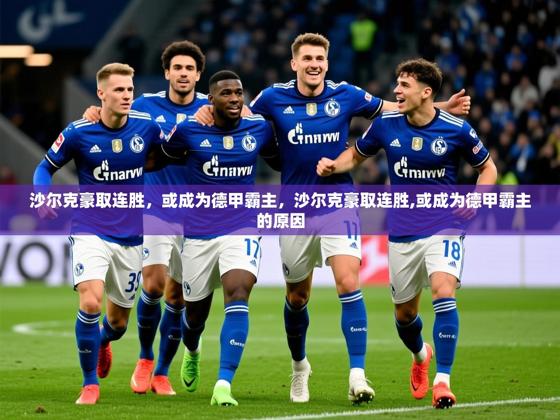 2025开云直播体育在线沙尔克豪取连胜，或成为德甲霸主，沙尔克豪取连胜,或成为德甲霸主的原因  第2张
