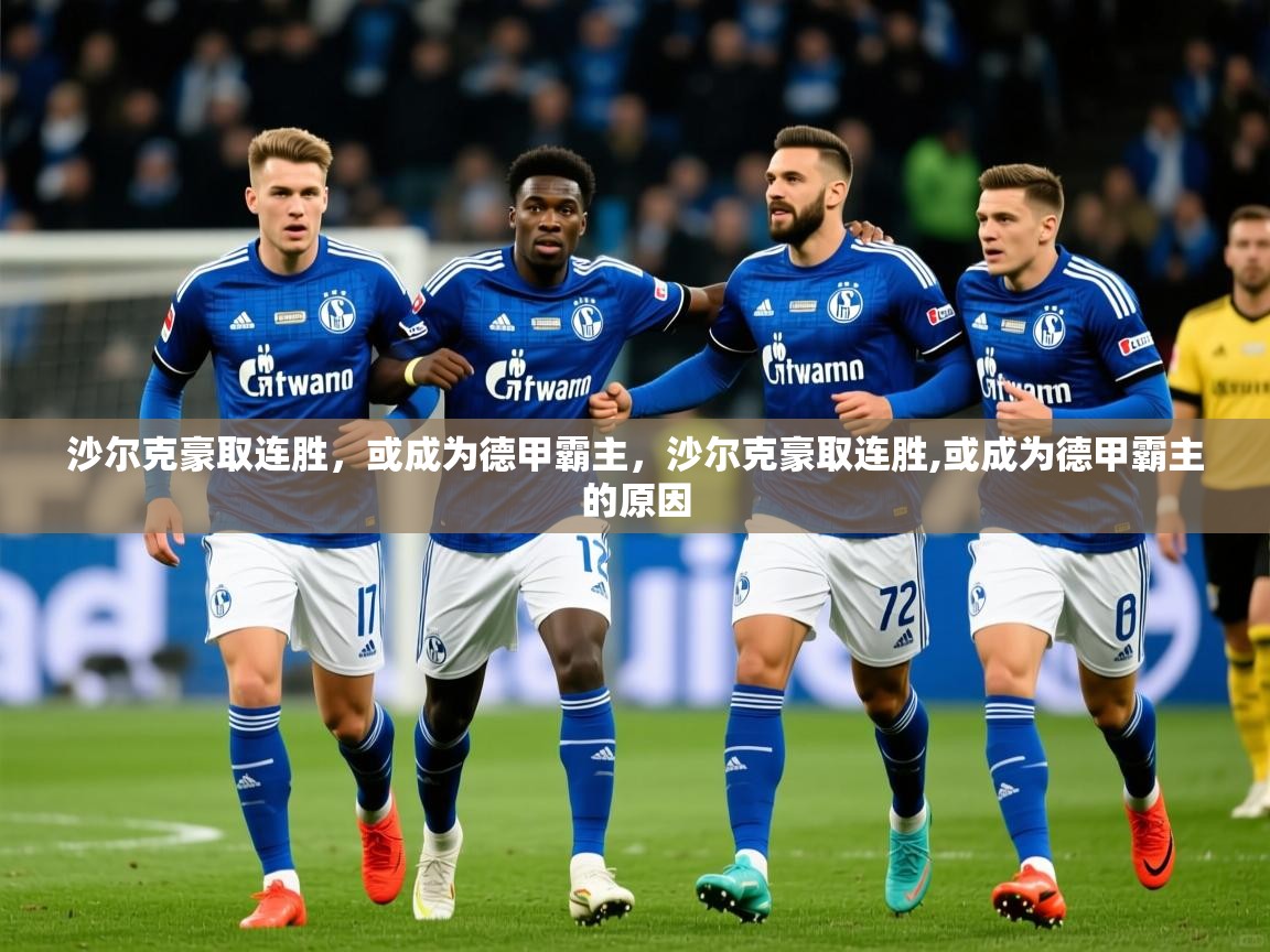 2025开云直播体育在线沙尔克豪取连胜，或成为德甲霸主，沙尔克豪取连胜,或成为德甲霸主的原因  第3张