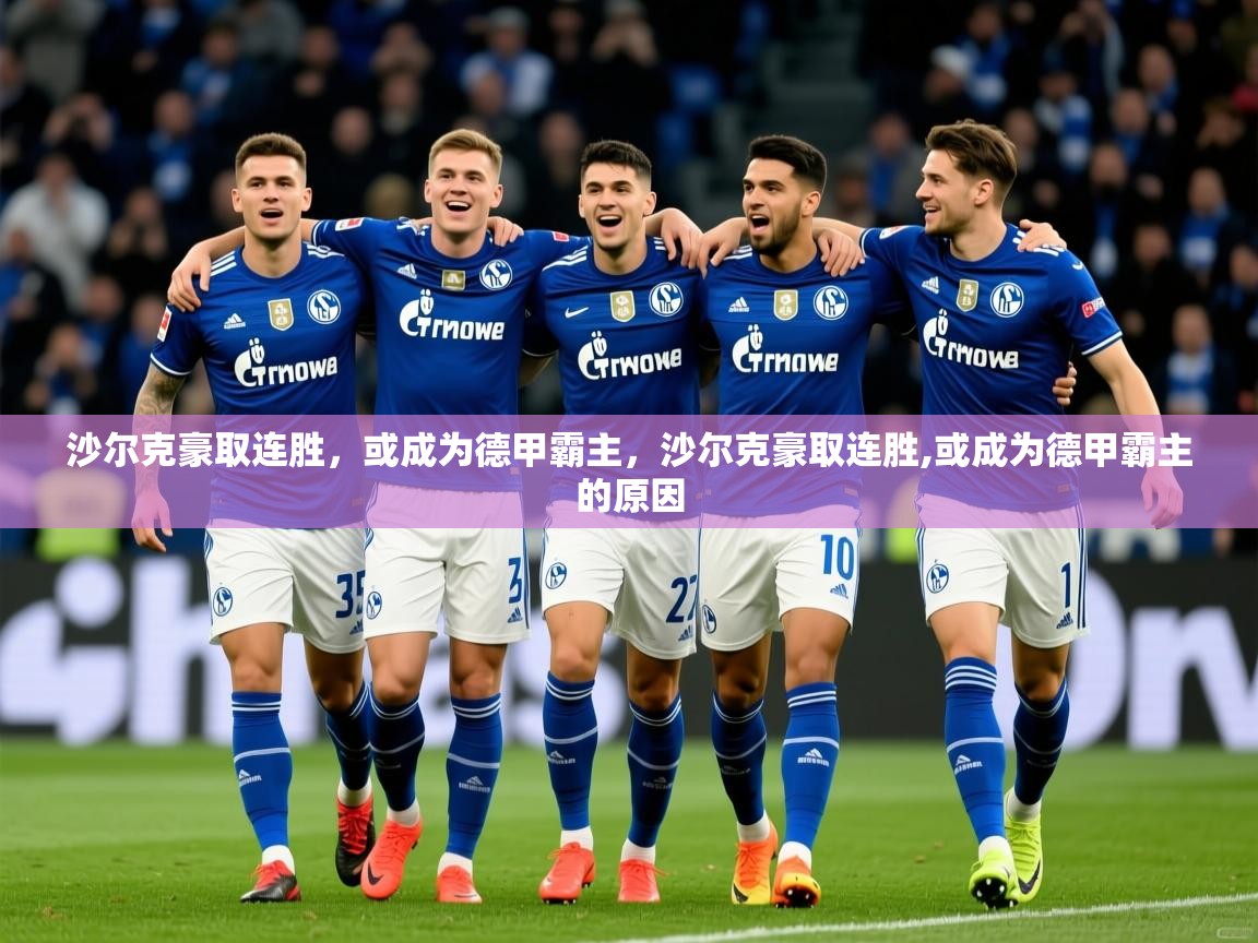 2025开云直播体育在线沙尔克豪取连胜，或成为德甲霸主，沙尔克豪取连胜,或成为德甲霸主的原因  第4张