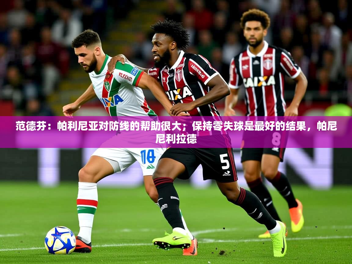 2025开云体育入口下载范德芬：帕利尼亚对防线的帮助很大；保持零失球是最好的结果，帕尼尼利拉德  第3张