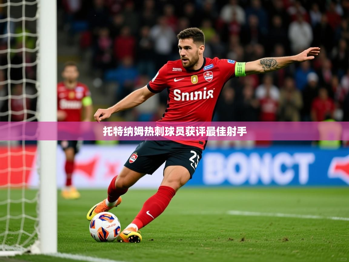 2026开云体育注册下载托特纳姆热刺球员获评最佳射手 第3张